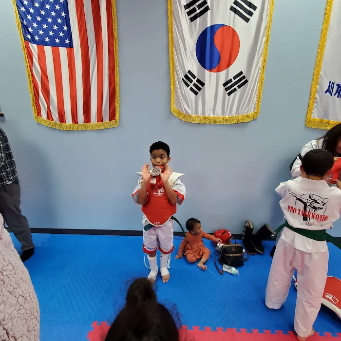 Pro Taekwondo Picture 9