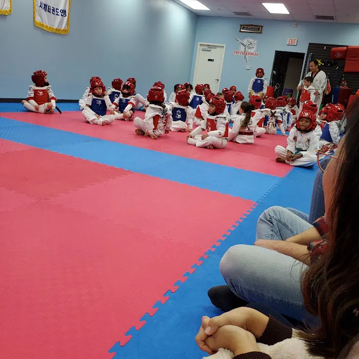 Pro Taekwondo Picture 10