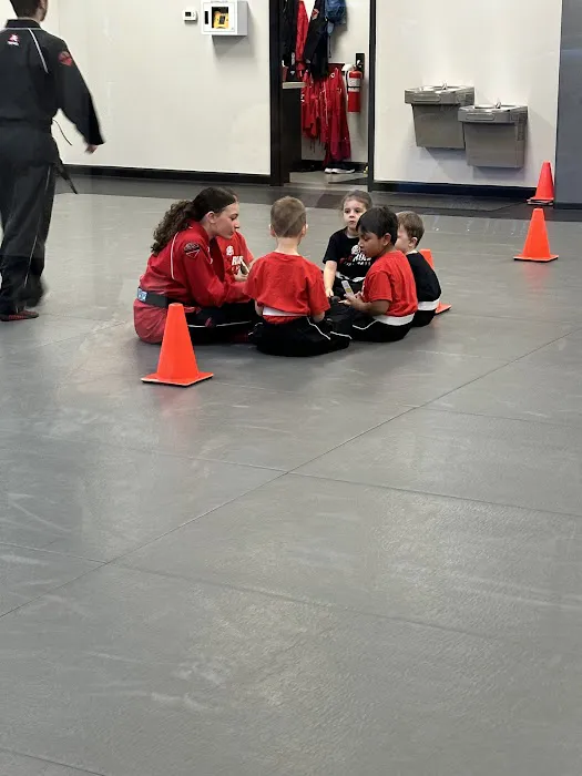 Tiger-Rock Martial Arts Picture 1