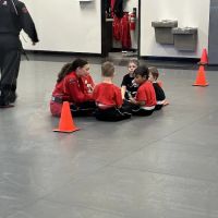 Tiger-Rock Martial Arts ico