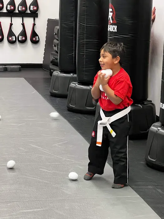 Tiger-Rock Martial Arts Picture 2