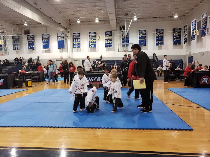 Tiger-Rock Martial Arts Picture 4