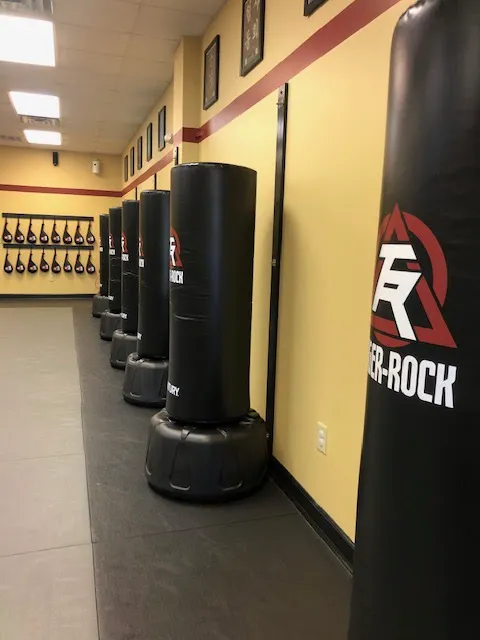 Tiger-Rock Martial Arts Picture 8