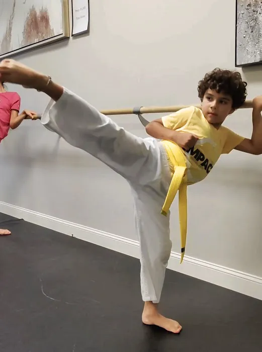 Impact Fitness & Martial Arts Picture 7