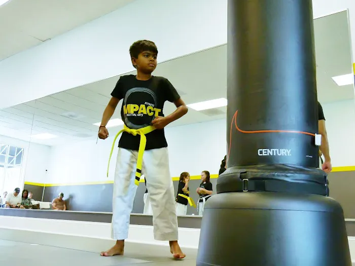 Impact Fitness & Martial Arts Picture 6