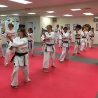 Goldsboro Okinawa Karatedo ico