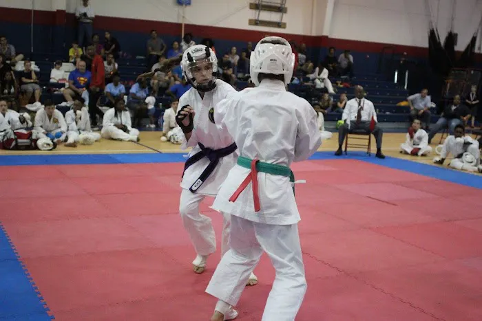 Goldsboro Okinawa Karatedo Picture 6