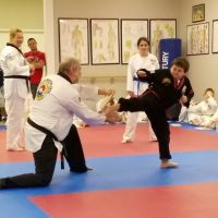 Korean Martial Arts Academy ico