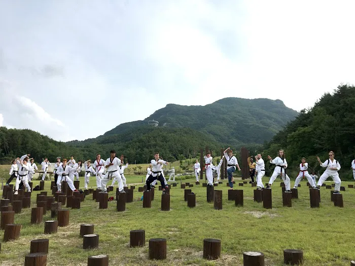 Byung Lee's King Tiger Tae Kwon Do Picture 7