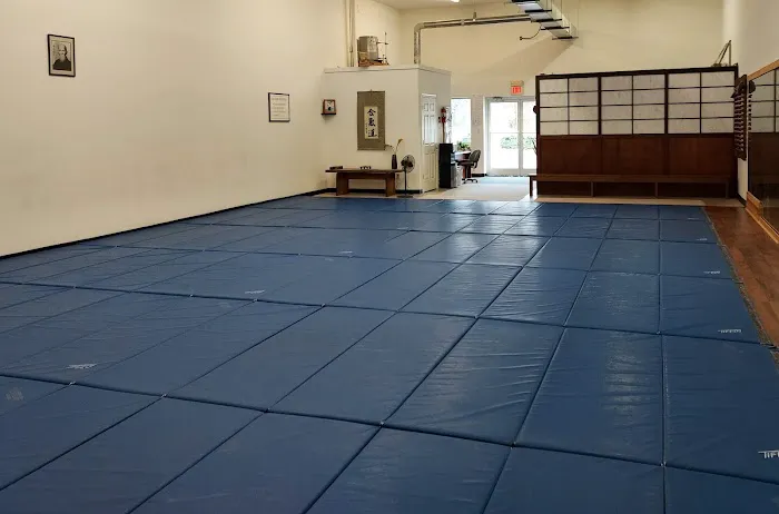 Triangle Aikido Picture 6