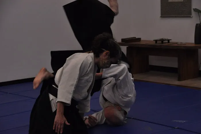 Triangle Aikido Picture 7