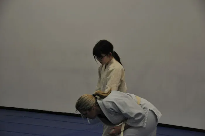 Triangle Aikido Picture 5