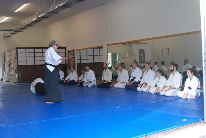 Triangle Aikido Picture 1