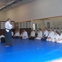 Triangle Aikido ico