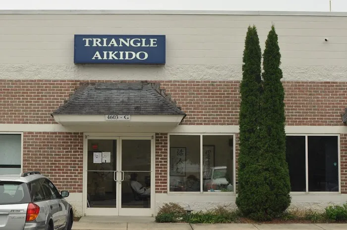 Triangle Aikido Picture 2