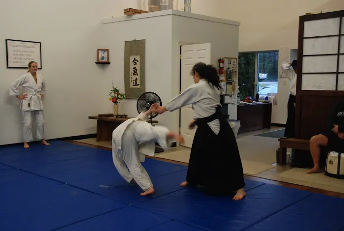 Triangle Aikido Picture 9