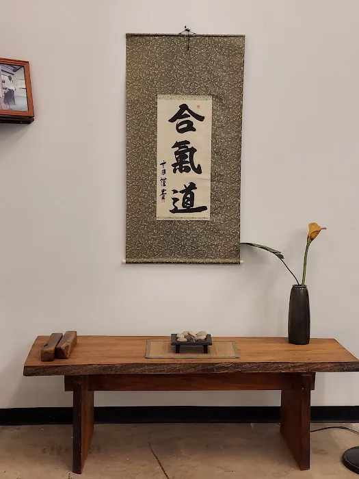 Triangle Aikido Picture 8