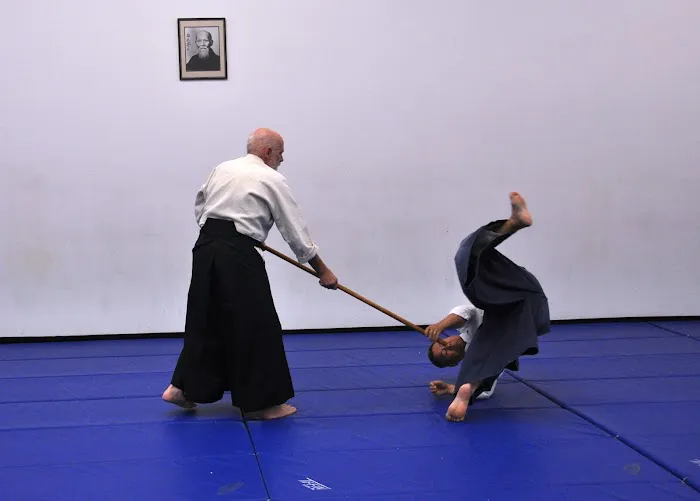 Triangle Aikido Picture 10