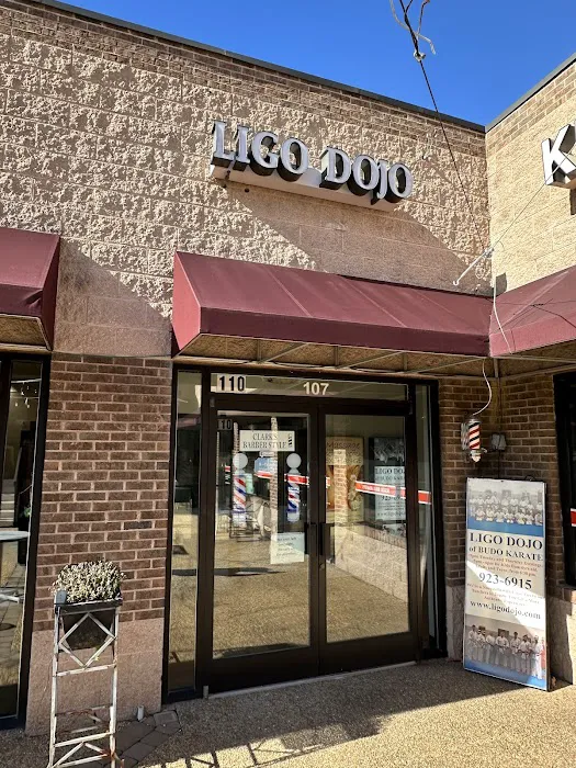 Ligo Dojo of Budo Karate - Martial Arts Classes Chapel Hill Picture 1