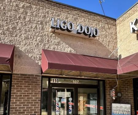 Ligo Dojo of Budo Karate - Martial Arts Classes Chapel Hill