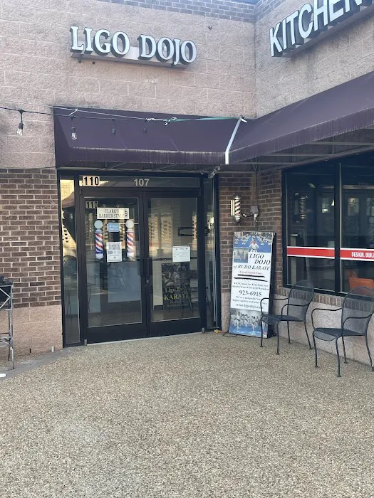 Ligo Dojo of Budo Karate - Martial Arts Classes Chapel Hill Picture 2