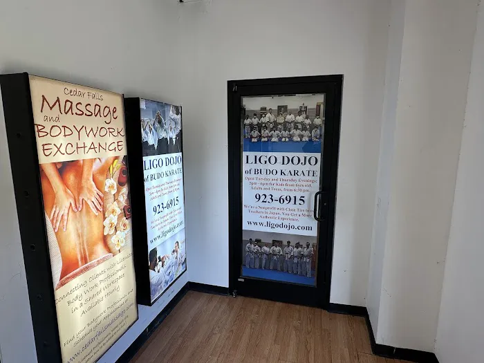 Ligo Dojo of Budo Karate - Martial Arts Classes Chapel Hill Picture 3