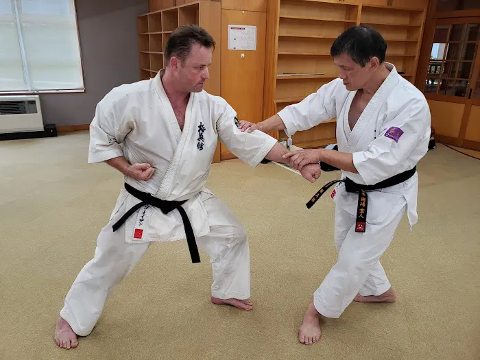 Ligo Dojo of Budo Karate - Martial Arts Classes Chapel Hill Picture 9