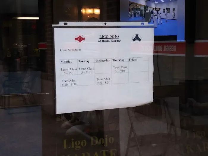 Ligo Dojo of Budo Karate - Martial Arts Classes Chapel Hill Picture 6