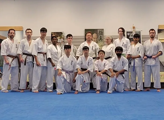 Ligo Dojo of Budo Karate - Martial Arts Classes Chapel Hill Picture 8