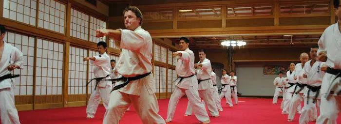 Ligo Dojo of Budo Karate - Martial Arts Classes Chapel Hill Picture 7