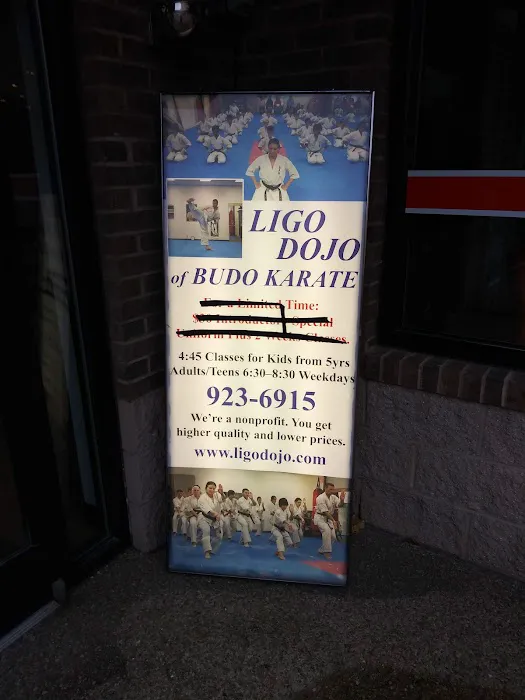 Ligo Dojo of Budo Karate - Martial Arts Classes Chapel Hill Picture 5