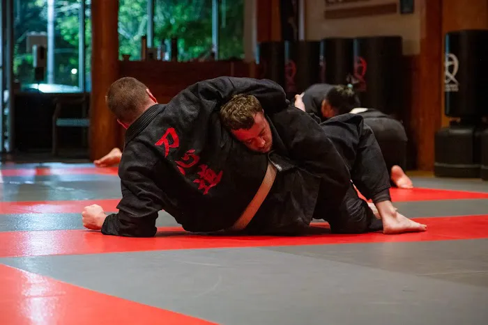 Quest Jiu-Jitsu and Self-Defense Picture 6