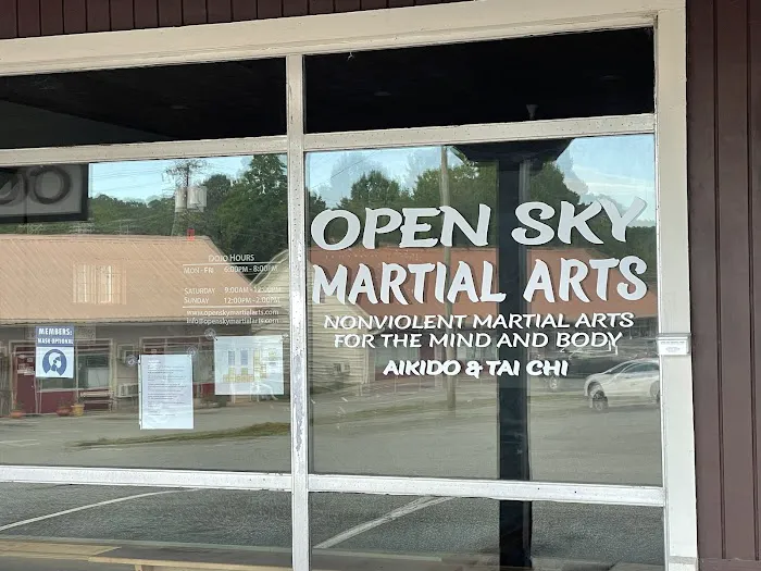 Aikido & Tai Chi At Open Sky Picture 2