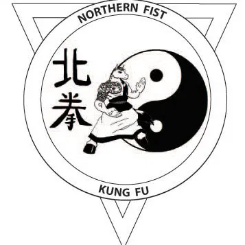 Rou Long Ma School of Chinese Martial Arts Picture 1