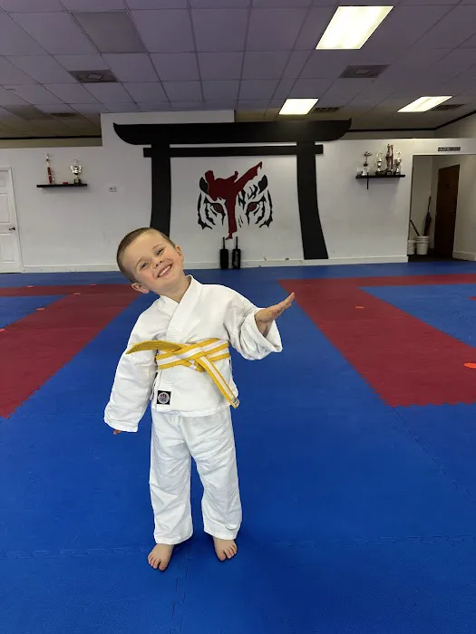 Team Tiger Karate Club - Shotokan Dojo Picture 4