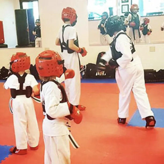 Chatham ATA Martial Arts Picture 8