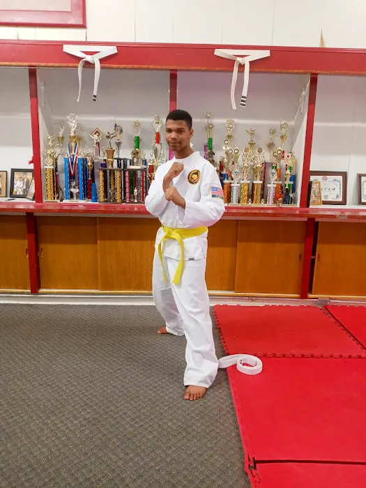 Little Union Academy of Martial Arts Picture 4