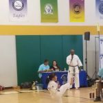 Little Union Academy of Martial Arts