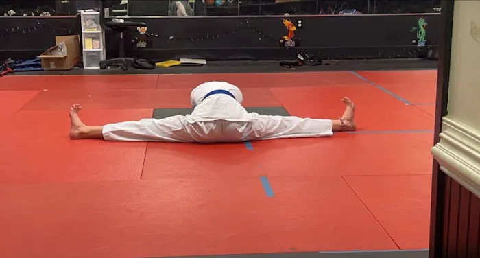 ATA Martial Arts of Greenville Picture 3