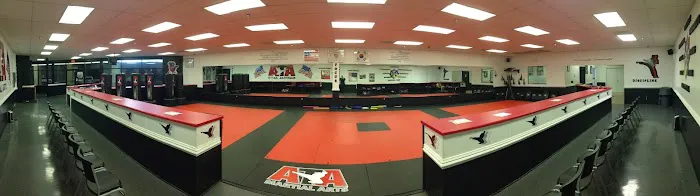 ATA Martial Arts of Greenville Picture 2