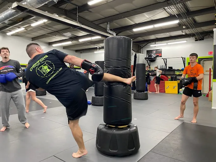 Champions Martial Arts Picture 1