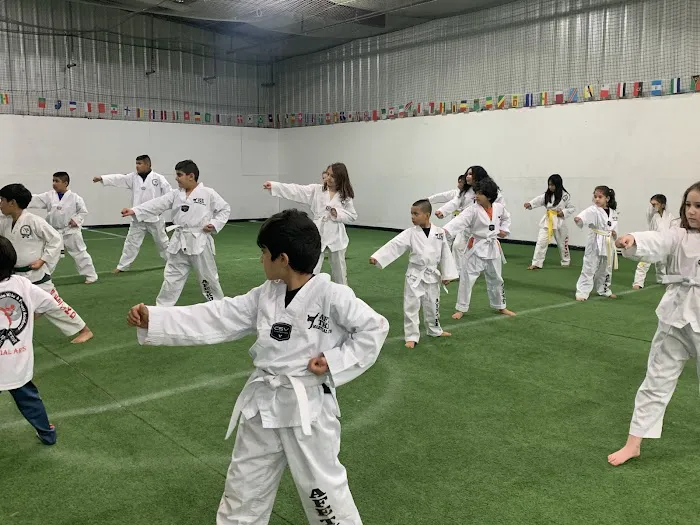 Ara's Martial Arts Sportplex inc. Picture 3