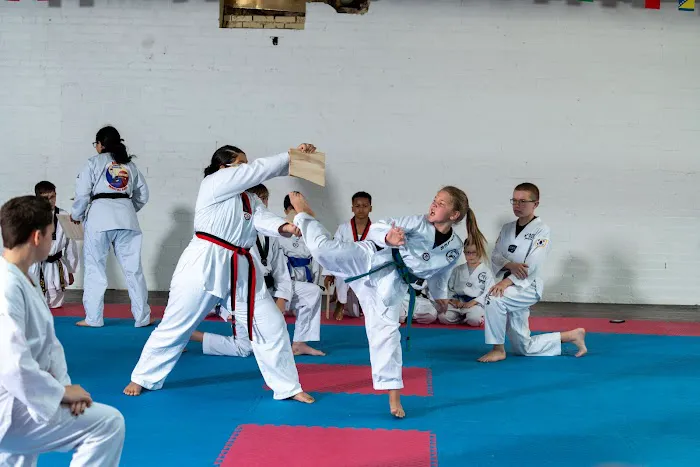 Ara's Martial Arts Sportplex inc. Picture 2