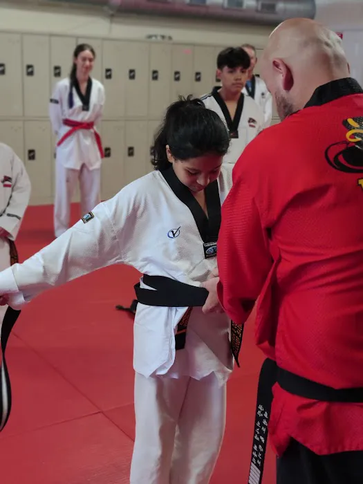 Taekwondo Burlington Picture 7