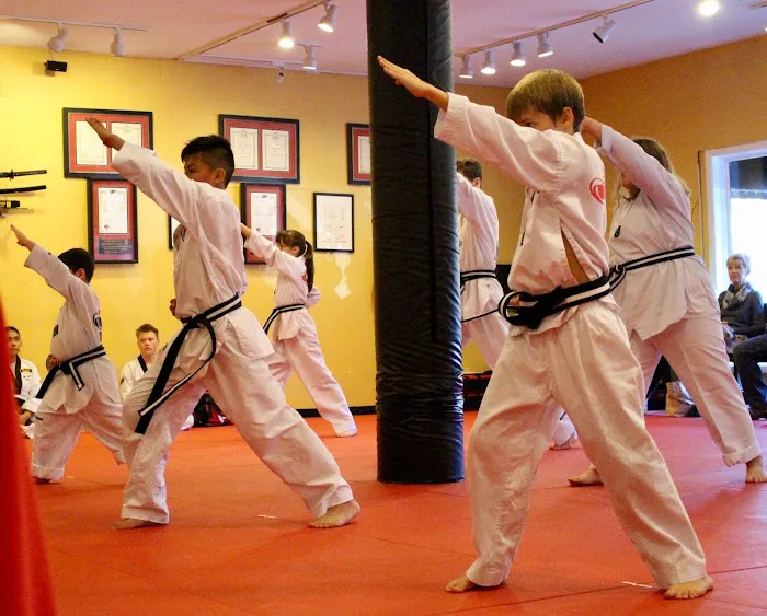 Taekwondo Burlington Picture 10
