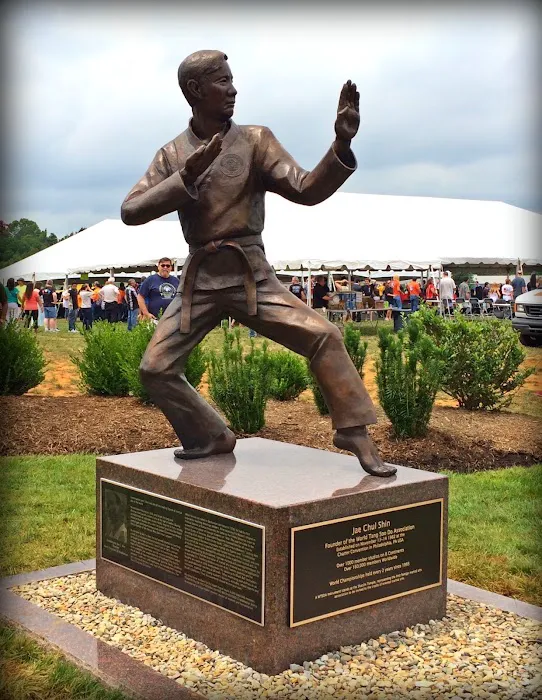 World Tang Soo Do Association Picture 9