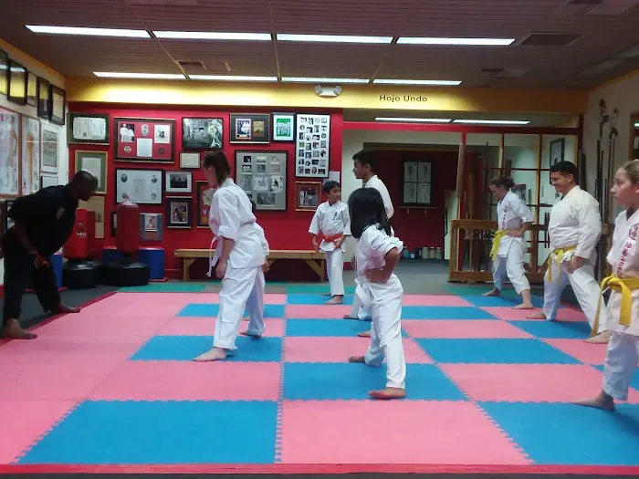 Isaac's Martial Arts Picture 1