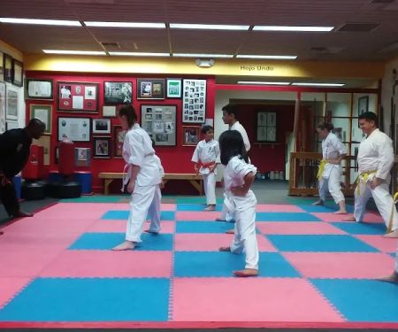 Isaac's Martial Arts