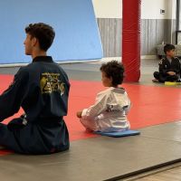 Lee's White Tiger ico