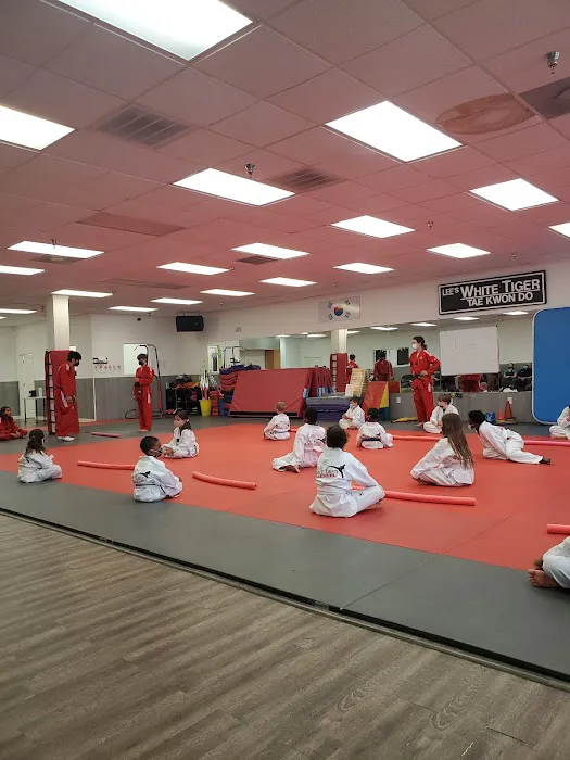 Lee's White Tiger Picture 4